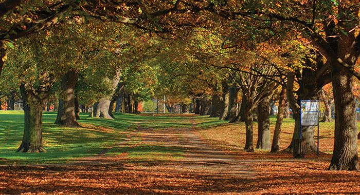 Cycling through Hagley Park